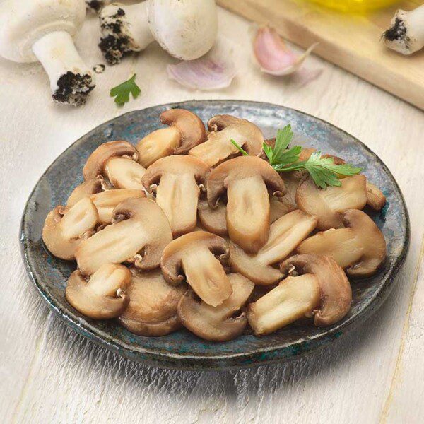 7247. Champinon laminado