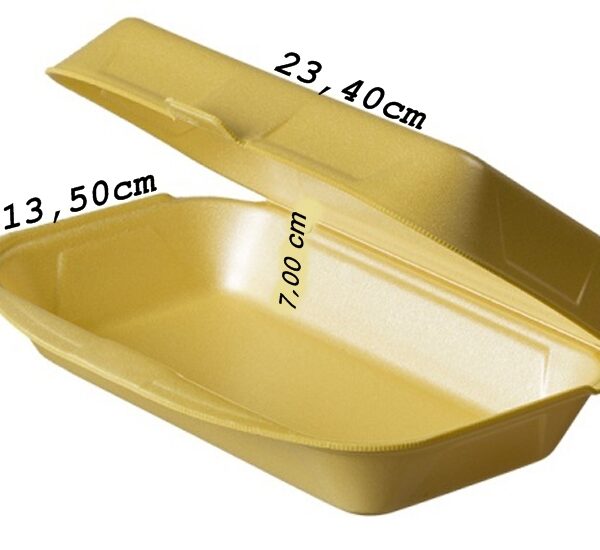 9095 ENVASE FOAM USO GENERAL IP10 240X133X75